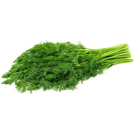 Herb Dill