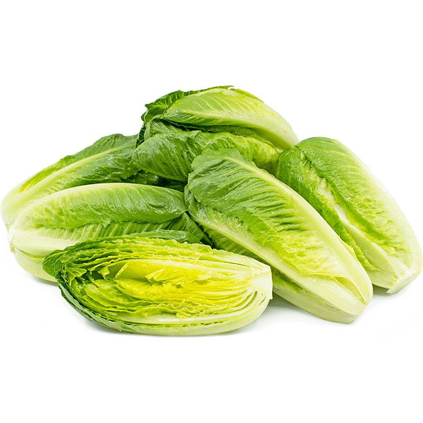 Lettuce Romaine Hearts