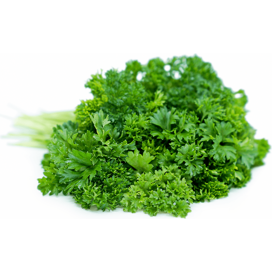 Parsley Curly