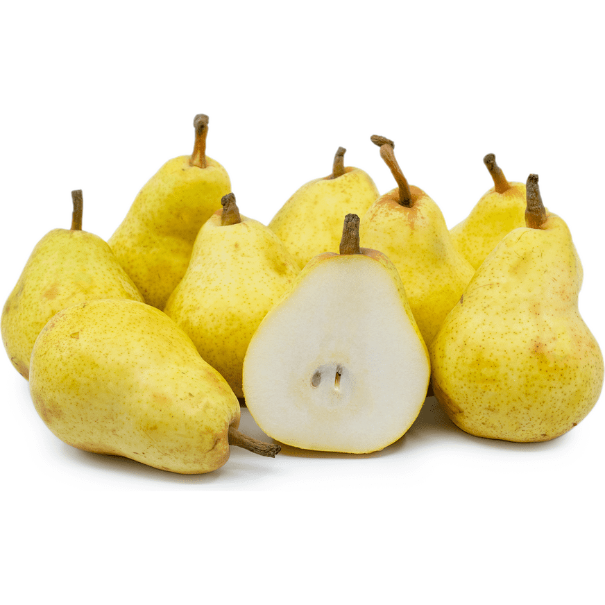 Pears Bartlett