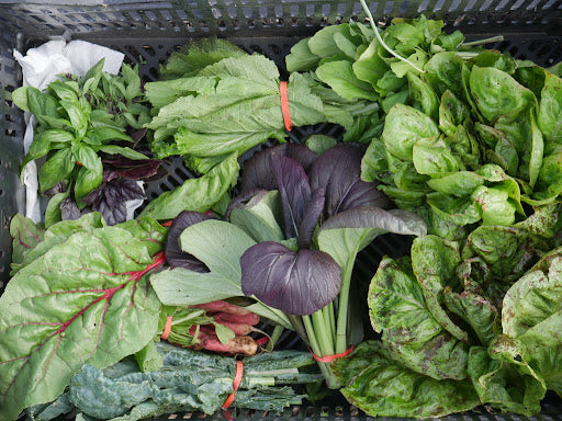 All Greens Box