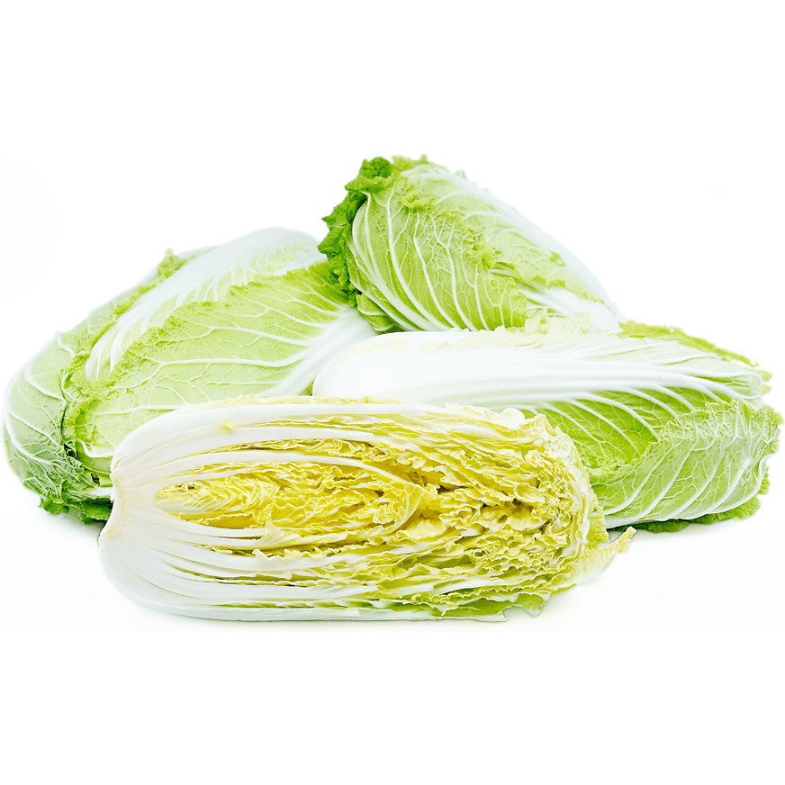 Cabbage Napa