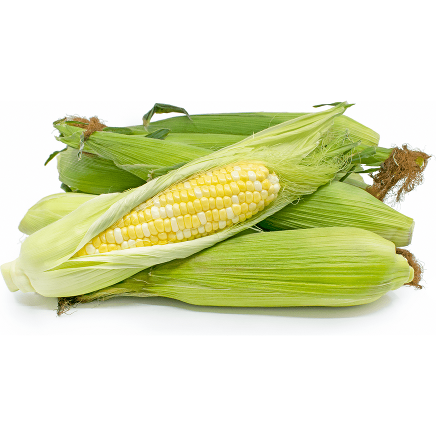 Corn, Sweet Bicolour