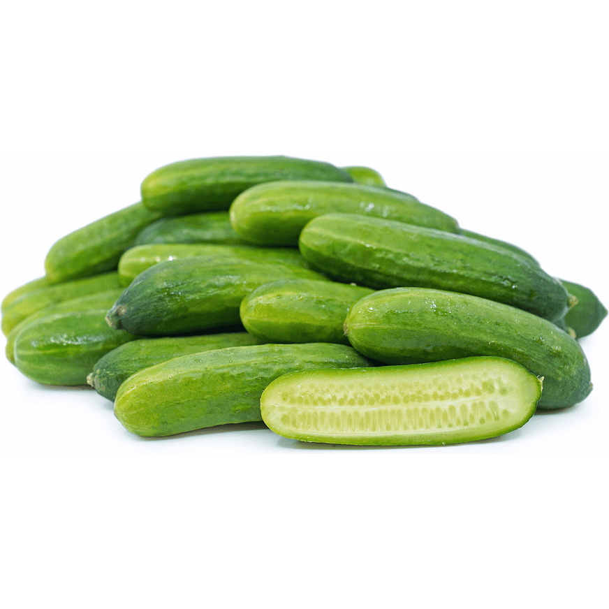 Cucumbers Persian Mini