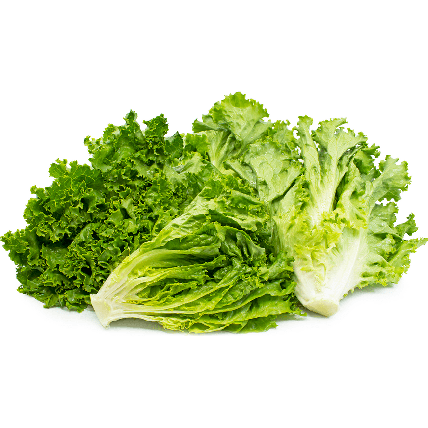Lettuce, Green Leaf