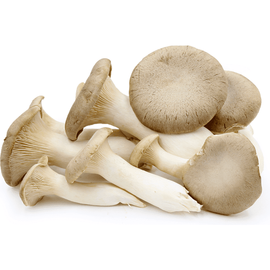 Mushrooms, King Oyster