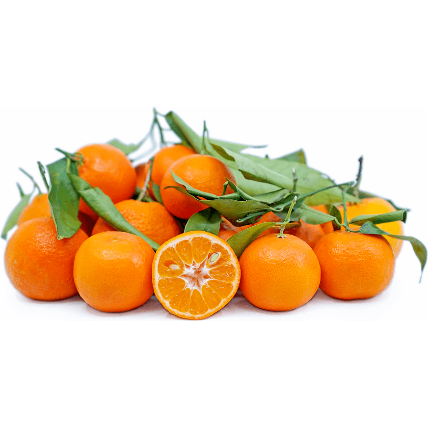 Oranges, Clementine Stem Leaf