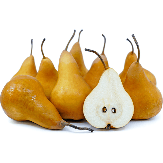 Pears Bosc