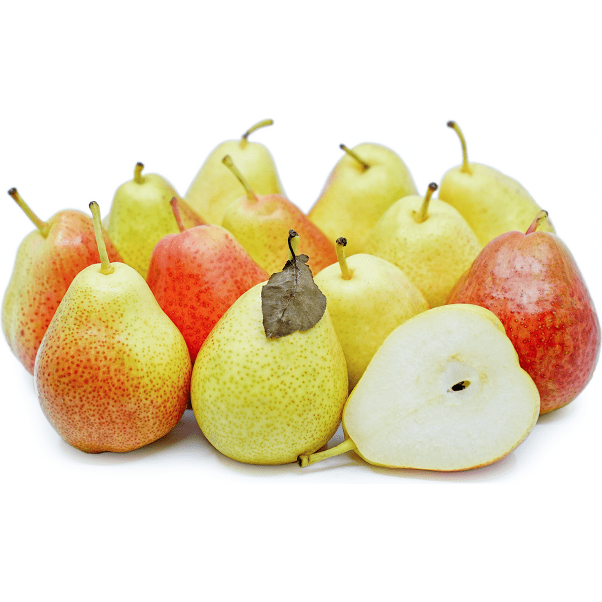 Pears Forelle