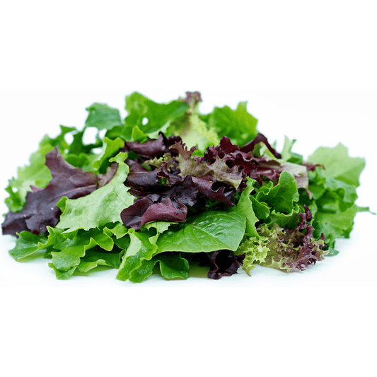 Salad Mix, Spring Mix